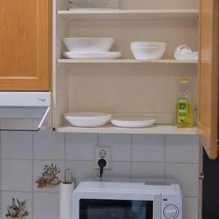 Araucarias * Κότκα