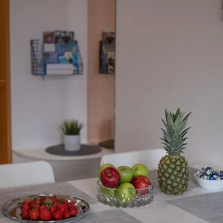 Araucarias * Κότκα