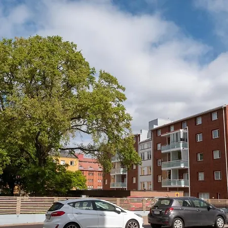 Araucarias * Κότκα